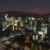 Cities: Skylines - STEAM CD Key - Image 4