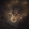 Darkwood - STEAM CD Key - Image 2