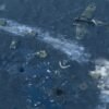 Sudden Strike 4 - STEAM CD Key - Image 3
