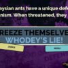 The Jackbox Party Pack 2 - STEAM CD Key - Image 5